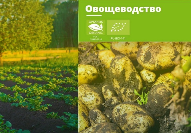 КФХ Нова Русса получило звание народного органического бренда