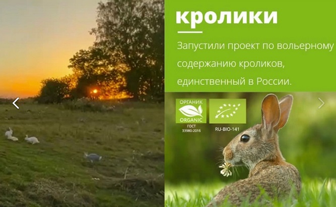 КФХ Нова Русса получило звание народного органического бренда