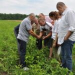 Воронежская область органическая продукция