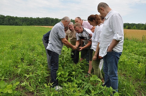 Воронежская область органическая продукция
