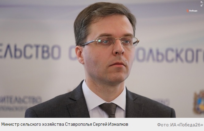 Виноградник Прикумья Ставропольского края признали органическим хозяйством