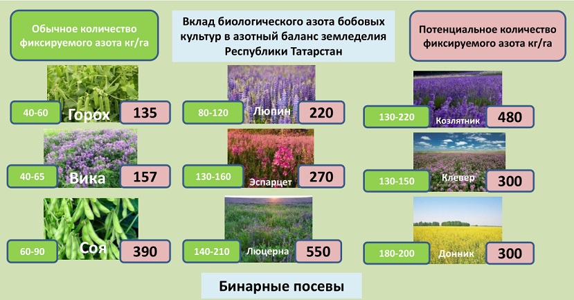 Возможно ли питание растений без использования минеральных удобрений?