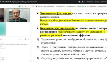 Видео и презентации: Вебинар BACILLUS SUBTILIS – природные действующие вещества