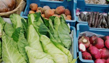 Опыт английского города Бери: 25% школьного питания из органических продуктов