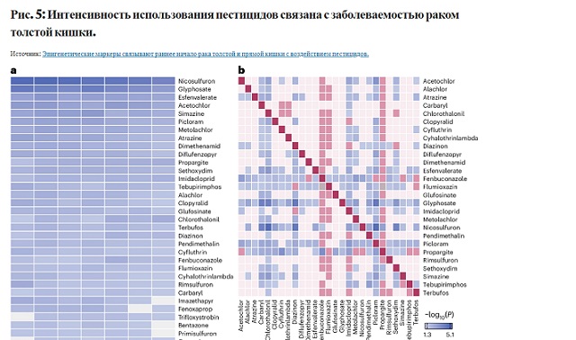Исследование: Пестицид пиклорам может провоцировать рак прямой и толстой кишки