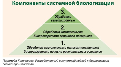 Большой отчет о Дне биологизированного поля в ООО "Кавказ" Ставропольского края