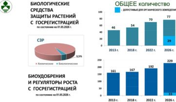 День Биополя 2026: презентации спикеров деловой части доступны для просмотра
