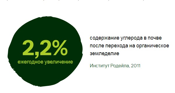 5 июня - Всемирный день охраны окружающей среды и День эколога в России