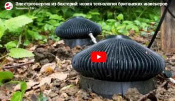 Британские инженеры представили новую технологию, которая генерирует электроэнергию от микроорганизмов в почве