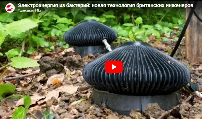 Британские инженеры представили новую технологию, которая генерирует электроэнергию от микроорганизмов в почве