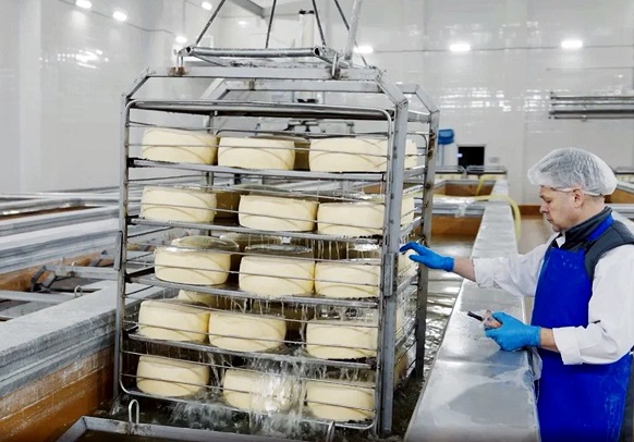 Органический сыр: универсальный продукт для здоровья