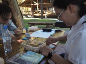 Российские ученые разрабатывают технологию управления плодородием почв с помощью дождевых червей