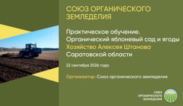 Видео и презентации: Практическое обучение органическому садоводству и ягодам у Алексея Штанова Саратовская область