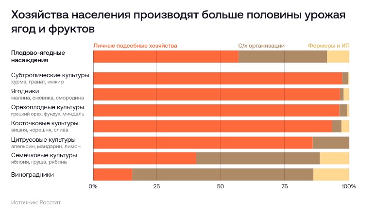 Больше половины картофеля в стране выращивают на личных участках