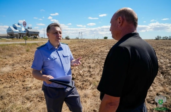 В пробах крымских фруктов и овощей обнаружены запрещенные пестициды - Россельхознадзор