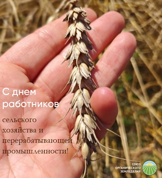 С Днем работников сельского хозяйства и перерабатывающей промышленности!